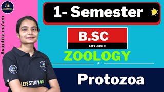 Protozoa  Bsc Zoology 1st Semester  Avantika Maam [upl. by Fawna]