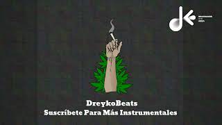 FREE Beat Reggae Rap Planta Medicinalquot Boom Bap Beat Instrumental dreykobeats [upl. by Rramed]