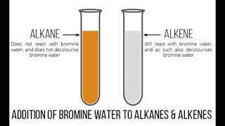 Testing For Alkane and Alkenes using Bromine water and Acidified Potassium Permanganate [upl. by Xineohp]