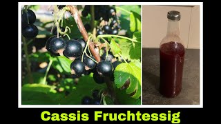 Johannisbeeressig Rezept Cassis Obstessig  Johannisbeeren Essig  Selbstversorgung Ribisel [upl. by Reifinnej276]