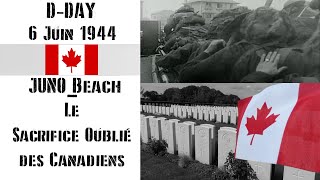 Juno Beach  Le Sacrifice Oublié des Canadiens [upl. by Anbul889]