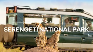 Serengeti National Park Tanzania  Safari365 [upl. by Ardnat446]