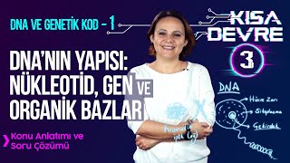 8 Sınıf Fen Bilimleri DNA ve Genetik Kod – 1 Kromozom DNA Gen Nükleotid  Lightboard ile Ders 3 [upl. by Ranee]