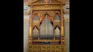 Kommst du nun Jesu vom himmel herunter Bwv650  Bach Aldo Locatelli [upl. by Nilahs]