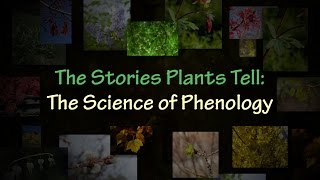 The Stories Plants Tell The Science of Phenology [upl. by Enelram189]