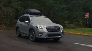 Experience The 2024 Subaru Forester During the Subaru A Lot To Love Event [upl. by Avelin]