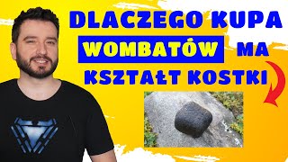 Dlaczego kupa wombatów ma kształt kostki  NEWSY BEZ WIRUSA  Karol Modzelewski [upl. by Airekal]