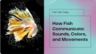 Do fish talk these days ytvideo yt varvi varvika [upl. by Iohk915]