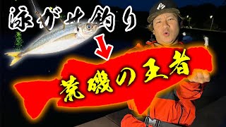 堤防から生きたアジを泳がせると秒で釣れる高級魚！！ [upl. by Aiden]