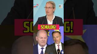 Lindner und Scholz Schuldig ampelaus scholz lindner aliceweidel [upl. by Ru592]