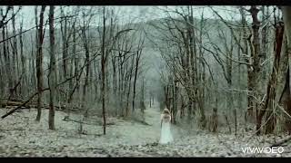 Taylor Swift  evermore ft Bon Iver Official Music Video [upl. by Catto]