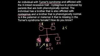 Pedigree problem Nystagmus as a result of Turners syndrome [upl. by Ayahs]