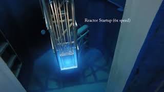 Top 5 Amazing Nuclear Reactor Startups [upl. by Enirahtak]