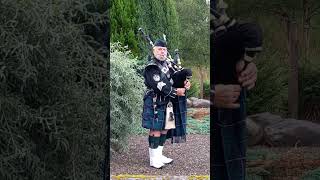 Cameronians Scottish Rifles Piper [upl. by Anifad]