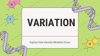 Variation Explained How Mutation and Environmental factors Shape Diversity  Biospeaks [upl. by Renato]