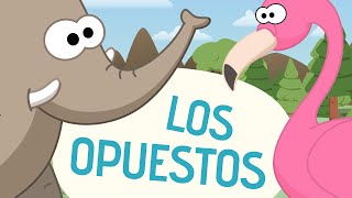 Canción de los opuestos  Canciones Infantiles  Toobys [upl. by Allrud]