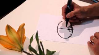 How to draw plants Foreshortening2 47 [upl. by Naoh]