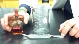 Diffusion Through a Membrane Lab  Part 1 making the model cell [upl. by Aneeram]