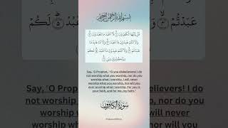 Surah AlKafirun with English Translation  Mishary Rashid  mishary surahkafiroon qurantilawat [upl. by Yemar]