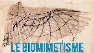 Le Biomimétisme cest quoi [upl. by Labotsirc]