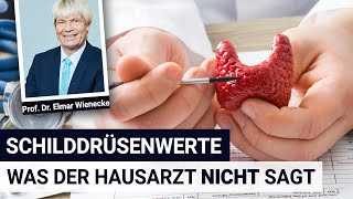 Schilddrüsenwerte was der Hausarzt NICHT sagt  Interview mit Prof Dr Wienecke [upl. by Eenerb]