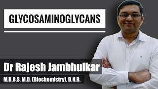 3 Glycosaminoglycans GAG Heteropolysaccharides [upl. by Scarlett]