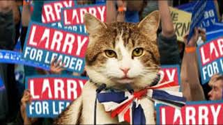 Can You Watch 7 Minutes Of Larry 10 Downing Street Cat  Prime Minister  PLEASE SUBSCRIBE [upl. by Monagan335]