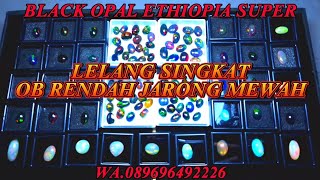 LELANG SINGKAT BLACK OPAL ETHIOPIA [upl. by Allys]