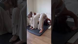 Deep Arch Stretching with LilliesYoga CiaraStretches [upl. by Anerual]