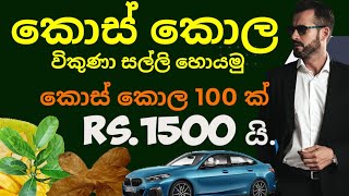 ස්වයං රැකියා  swayan rakiya at home 2024  swayan rakiya at home  swayan rakiya [upl. by Lehcear]