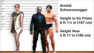 Gwendoline Christie Height Comparison [upl. by Aral]