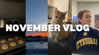 NOVEMBER VLOG fall goals why I love social media  getting back into good habits ◡̈ [upl. by Moria]