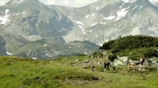 Fishermans Friend StrongmanRun Austria 2015  Trailer [upl. by Dilisio]