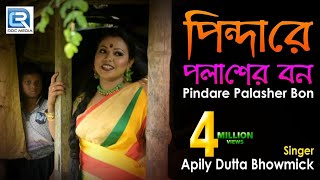 Pindare Polasher Bon  পিন্দারে পলাশের বন  Bengali Jhumur Dance Song  Apily Dutta Bhowmick [upl. by Ahselet141]