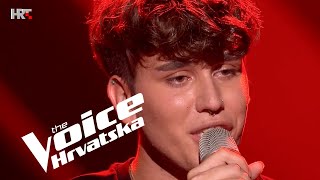 Sergej Božić quotRužica si bilaquot  Audicija 1  The Voice Hrvatska  Sezona 4 [upl. by Ynaffi]