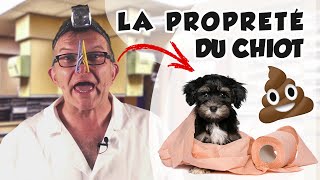 Dr Wouf  LA PROPRETE DU CHIOT [upl. by Yelkreb445]