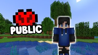 PUBLIC Lifesteal SMP Free to Join [upl. by Cicely]