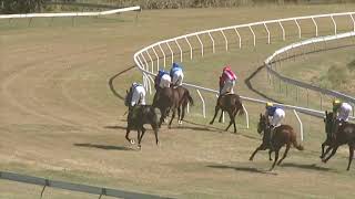 Yeppoon 20240803 Race 1 [upl. by Kcitrap]