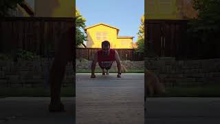 Day 153  22 Push Ups health motivation anxiety depression fitness funny goals dog puppy [upl. by Yrokcaz]