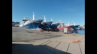 A Tour of Fraserburgh Harbour  Scottish Tours [upl. by Llimaj124]