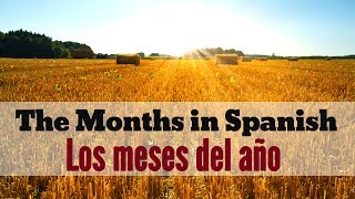 Months of the Year in Spanish  Los Meses del Año en Español [upl. by Filler]