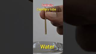 Capillarity  capillary action  केशिकात्व  surface tensionadhesive force education science [upl. by Mueller]