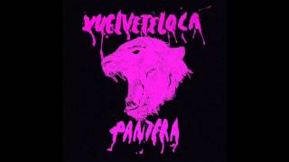 VUELVETELOCA  PANTERA Full Album [upl. by Mitinger]