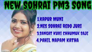 Sohrai SongNew Santali Mp3 Song [upl. by Sirraf]