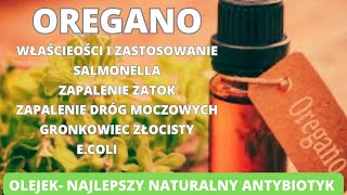 Oregano najlepszy naturalny antybiotyk Jakie cuda sprawia olejek oreganowy Dowiesz się już dziś [upl. by Zoarah]