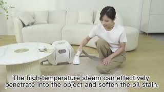 CLEAN WITH STEAMERQuickly clean your home by CNTECH steam cleaer [upl. by Mitchell]