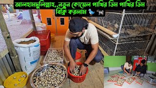 আলহামদুলিল্লাহনতুন কোয়েল পাখির ডিম বিক্রি করলাম 🐦 [upl. by Wohlert]