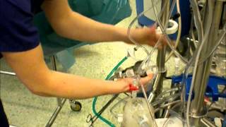 Clinical Perfusion  Setting up heartlung bypass machine [upl. by Atinauj]