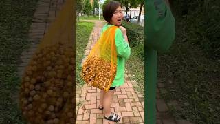 He Couldnt Believe These Were Good Hazelnuts 🌰🌰  Amazing Fresh Dryfruit shorts youtubeshorts [upl. by Llednil838]