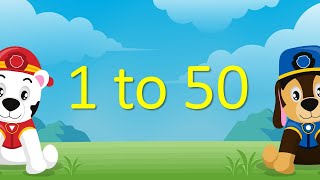 Learn To Count 1 to 50  Numbers Counting One to Fifty  150 In English For Beginners  Easy 150 [upl. by Zetta]